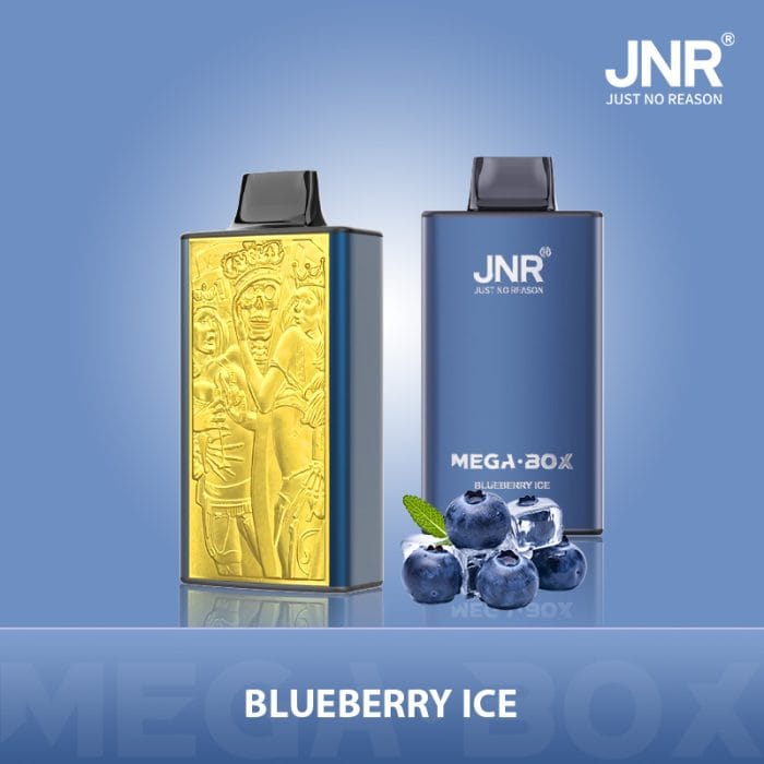 JNRJNR Mega Box 25k  puffs  Disposable Vapeblueberry ice