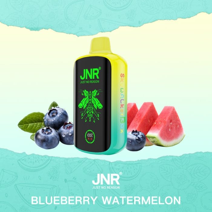 JNRJNR SKYWALKER BOX 30000  puffs  Disposable Vapeblueberry watermelon