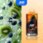 JNRjnr falcon X 18000 puff disposable vapeblueberry kiwi