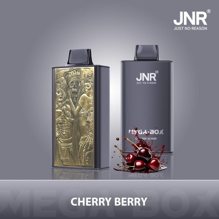 JNRJNR Mega Box 25k  puffs  Disposable Vapecherry berry