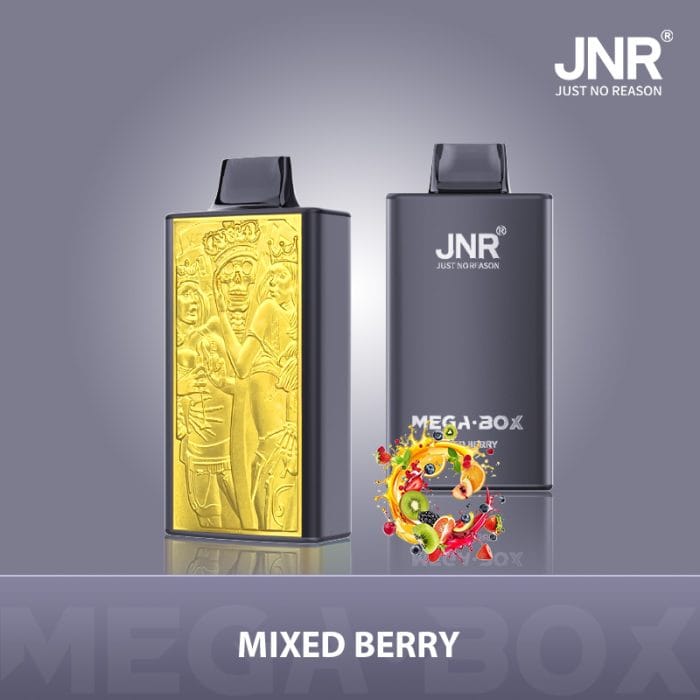 JNRJNR Mega Box 25k  puffs  Disposable Vapemixed berry