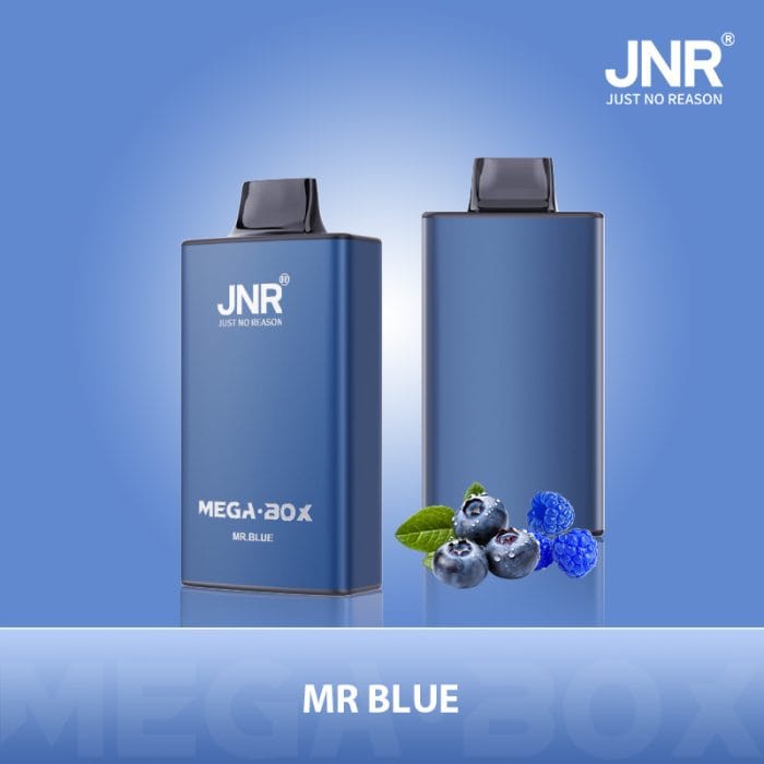 JNRJNR Mega Box 25k  puffs  Disposable Vapemr blue