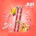 JNRUncover the Ultimate Jnr Shisha 12000 Puff Disposable Vape Guidejnr shisha puff disposable vape