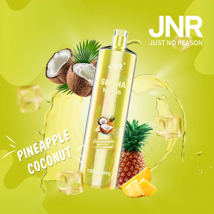 JNRUncover the Ultimate Jnr Shisha 12000 Puff Disposable Vape Guidejnr shisha puff disposable vape