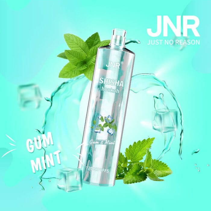 JNRUncover the Ultimate Jnr Shisha 12000 Puff Disposable Vape Guidejnr shisha puff disposable vape