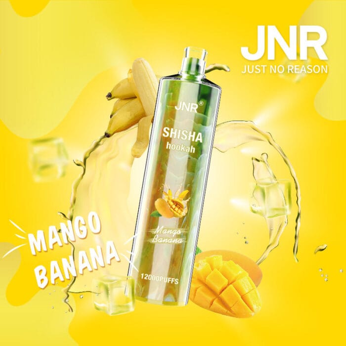JNRUncover the Ultimate Jnr Shisha 12000 Puff Disposable Vape Guidejnr shisha puff disposable vape