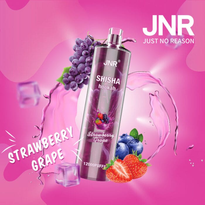 JNRUncover the Ultimate Jnr Shisha 12000 Puff Disposable Vape Guidejnr shisha puff disposable vape