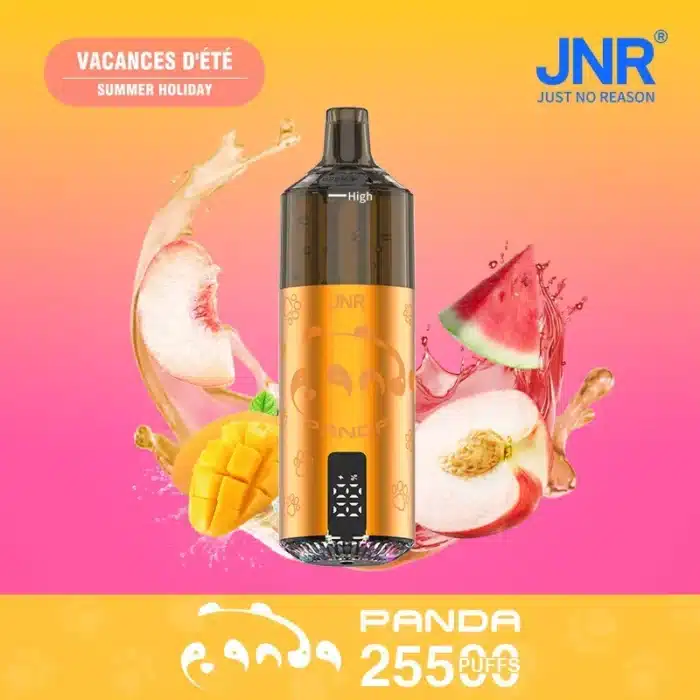 JNRJNR Panda Pod Kit TPD Certified Vape 25500 Puffs 2ml Prefilled Pod 10ml Refillable Bottle 850mAh Rechargeable Batteryimgi jnr panda puffs bood cu