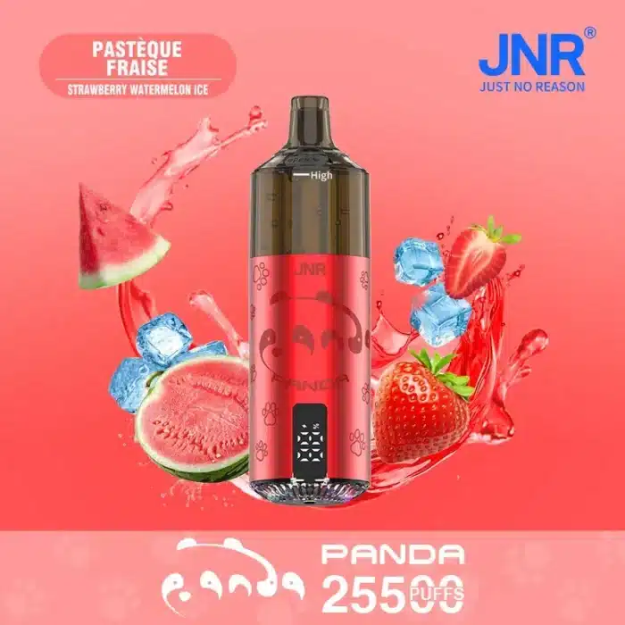 JNRJNR Panda Pod Kit TPD Certified Vape 25500 Puffs 2ml Prefilled Pod 10ml Refillable Bottle 850mAh Rechargeable Batteryimgi jnr panda puffs bood cu
