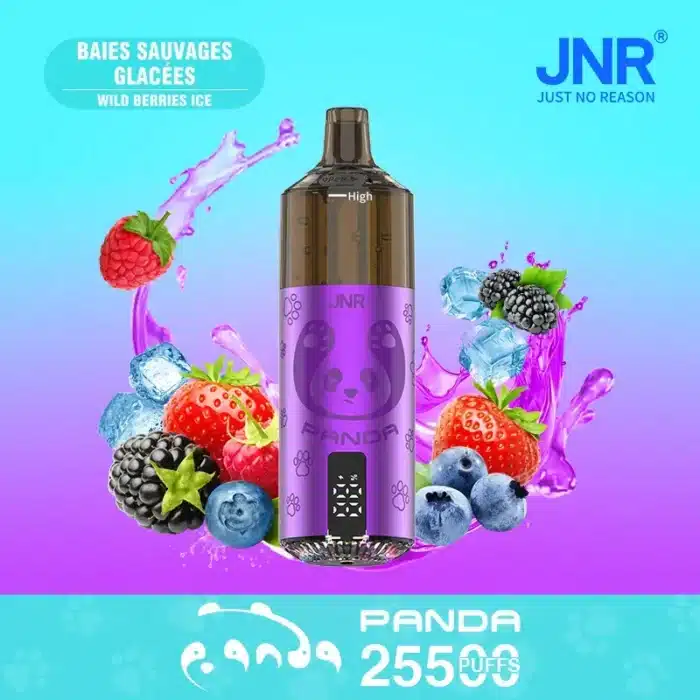 JNRJNR Panda Pod Kit TPD Certified Vape 25500 Puffs 2ml Prefilled Pod 10ml Refillable Bottle 850mAh Rechargeable Batteryimgi jnr panda puffs bood cu