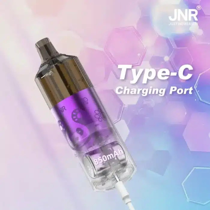 JNRJNR Panda Pod Kit TPD Certified Vape 25500 Puffs 2ml Prefilled Pod 10ml Refillable Bottle 850mAh Rechargeable Batteryimgi jnr panda puffs bood cu